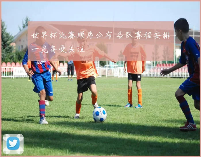世界杯比赛顺序公布 各队赛程安排一览备受关注