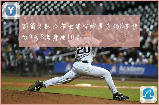 葡萄牙队公布世界杯球员号码C罗领衔9号B席身披10号