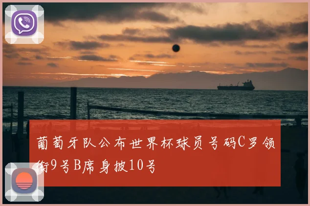 葡萄牙队公布世界杯球员号码C罗领衔9号B席身披10号