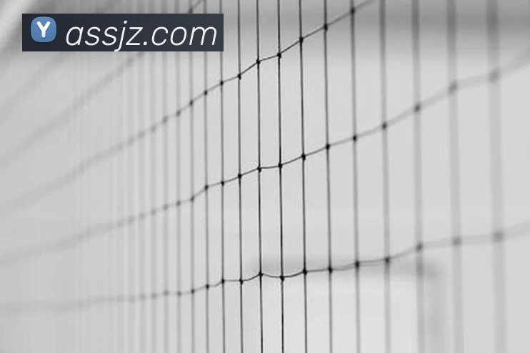 开云在线手机登陆APP 体育赛事宣传图